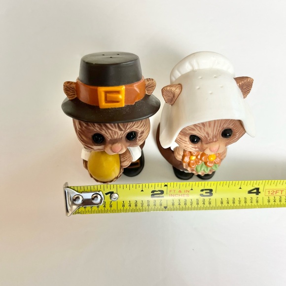 Thanksgiving Holiday Chipmunk salt and pepper shakers - Picture 8 of 11